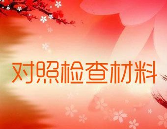 对照检查材料范文